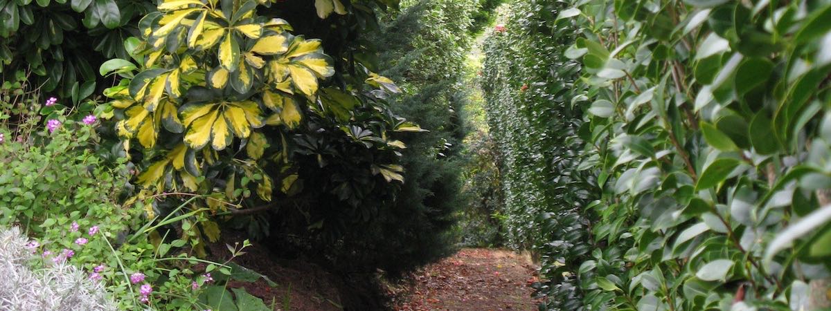 Quinta das Buganvilias